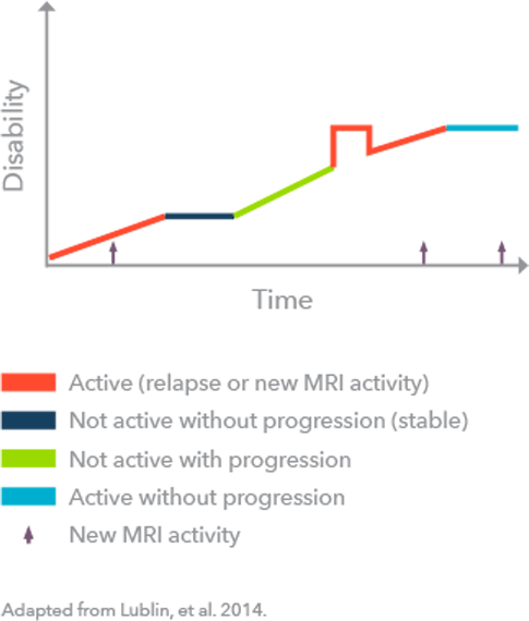 PPMS infographic (adapted from Lublin et al., 2014)