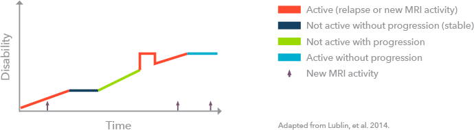 PPMS infographic (adapted from Lublin et al., 2014)