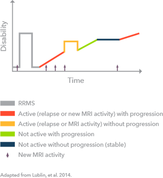 SPMS infographic (adapted from Lublin et al., 2014)